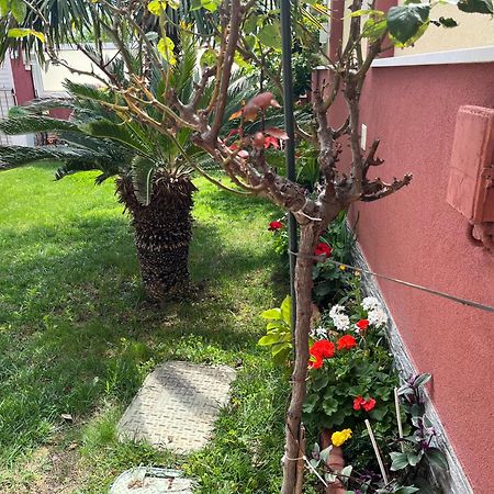 Apartments Villa Stella Maris Rogoznica  Ngoại thất bức ảnh